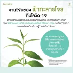 กิฟฟารีน Giffarine ยาแคปซูลฟ้าทะลายโจรสกัด FA-THALAI-JOAN EXTRACT CAPSULE, Extract of Andrographis paniculata leaves 30 แคปซูล Capsules 48009