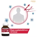 AMSEL Beta Glucan 30 Cap Amsel Battery-Glucan helps to enhance the immune system 30 capsules.