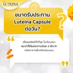ซื้อ3แถม1 ลูทีน่า วิตามินบำรุงสายตา ตาแห้ง แสบตา Luteina 1กระปุก 60 เม็ด