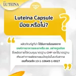 ซื้อ3แถม1 ลูทีน่า วิตามินบำรุงสายตา ตาแห้ง แสบตา Luteina 1กระปุก 60 เม็ด