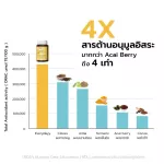 Organic Dayy เอฟวรีเดย์ ขมิ้นชัน พริกไทยดํา มะขามป้อมออร์แกนิค 60 แคปซูล 3 ขวด Everydayy Organic Tumeric Pepper Amla