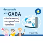 AMSEL GABA PLUS VITAMIN Premix nourish the brain, memory, balance, emotions, reduce stress, 30 capsules.