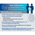 Life Best L-Arginine Plus Zinc 50 capsules ไลฟ์ เบสต์ แอล-อาร์จินีน พลัส ซิงค์ บำรุงสุขภาพท่านชาย 50 แคปซูล