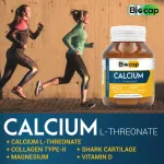 Calcium Alraine Collagen Type 2 Shark Magnesium, vitamin D Calcium L-Threonate Collagen Type2 SHARK CARK Cartilage Magnesium Biocap