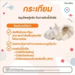 กิฟฟารีน การ์ลิซีน กระเทียมผงสกัด ชนิดแคปซูล Giffarine Garlicine  100 แคปซูล