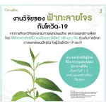 กิฟฟารีน ฟ้าทะลายโจรสกัด ยาแคปซูลฟ้าทะลายโจรสกัด เข้มข้นกว่าเดิม 6 เท่า มีแอนโดรกราโฟไลด์ไม่ต่ำกว่า 24 มก. 30 แคปซูล