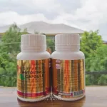 Giffarine phytosterol giffarine phytosterol, reduce the absorption of 60 capsules.