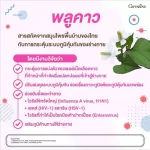 กิฟฟารีน เบต้า พลูคาว Giffarine Beta Plu-kao ผลิตภัณฑ์เสริมอาหาร พลูคาวสกัด ผสมเบต้า-กลูแคน 30 แคปซูล