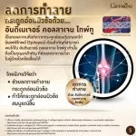 Giffarine Giffarine UC-II Gold, a good collagen, imported from America. 2 times more intense than 30 capsules