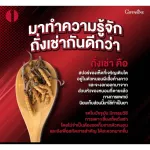 Giffarine Chong Cao Giffarine Cordy, Tibetan Cordycet Breed Cordyceps Sinensis, premium quality raw material