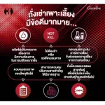 Giffarine Chong Cao Giffarine Cordy, Tibetan Cordycet Breed Cordyceps Sinensis, premium quality raw material