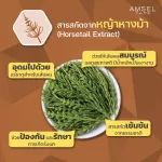 AMSEL BIOTIN + ZINC & HORSETAIL EXTRACT AMCEL BIITING Sink and 30 capsule ponytail extract