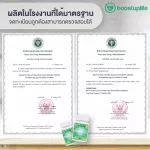 เบต้า-ซีไอ เบต้า กลูแคน ชุด 1 กระปุก