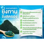 TV Direct WELNESS SPIRAL 100 เม็ด ขวดใหม่ ซื้อ 4 ขวด ราคาพิเศษเพียง 1,290 บาท