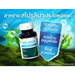 TV Direct WELNESS SPIRAL 100 เม็ด ขวดใหม่ ซื้อ 4 ขวด ราคาพิเศษเพียง 1,290 บาท
