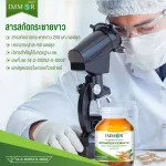 6 -bottle of Krachai Immor Extract