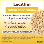 Now Foods, Lecithin/Sunflower Lecithin, 1200 mg 100 Softgels "เลซิติน บำรุงตับ สมองระบบประสาท"