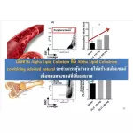 Colostem, Colostem 60 Capsules 3 bottles, new stem cells Strengthen stemine !!! Free !!! 2 -piece alcohol spray.
