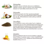 4 Mix Oil เจเอสพี ขนาด 250 แคปซูล จำนวน 1 ขวด มีของแถม