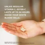 SOLGAR ESTER-C Plus Vitamin C 500 MG 100 Vegetable Capsules 500 milligrams of 100 milligrams