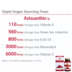 Premium grade Astaxantine Antioxidants
