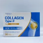 AMSEL COLLAGEN TYPE II PLUS CURCUMIN Type Collagen Nourishing the bone 30 capsule