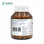 Zinc sync x 1 bottle of Mori Kami Labrathorn Zinc Morikami Laboratories