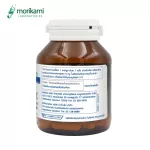 Zinc sync x 1 bottle of Mori Kami Labrathorn Zinc Morikami Laboratories