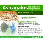อึ้งคี้ ปักคี้ ปักอึ้งคี้ หรือ หวงฉี สมุนไพรตำรับโบราณจีน Astragalus 1500 mg 90 Capsules PipingRock®