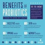 โปรไบโอติกส์ 10 สายพันธุ์ 10,000 ล้านตัว+อินนูลิน 100มก Ultra Strength Probiotic 10 60 Capsules Nature's Bounty®