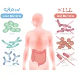 Probiotic probiotic 50 Billion Cfu 30 Delayed Release Capsules Naturelo®