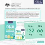 เอ็นบีแอล ดีเอชเอ อัลกัล ออยด์ 180 แคปซูล ดีเอชเอจากสาหร่าย เข้มข้นสูง เม็ดเล็กรูปปลา ทานง่าย ไม่คาว