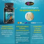 Auswelllife Shark Cartilage 750mg. กระดูกอ่อนปลาฉลาม เพิ่มความยืดหยุ่นให้เอ็นและข้อ บำรุงกระดูกเเละฟันแข็งแรง ขนาด 30 และ 60 แคปซูล