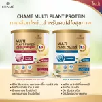 Chame 'Multi Plant Protein Plus Collagen 0%Collagen formula, granulated sugar, protein from healthy beverages Take care of the joints
