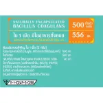 MEDIRA โพรไบโอติกพลัส ผลิตภัณฑ์เสริมอาหาร ชนิดเม็ด เคี้ยว 1 หลอด 15 เม็ด