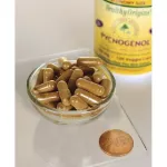 French bark extract Pycnogenol 100 mg 120 Veggie Caps Healthy Origins®