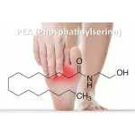 PEA PEA PALMITOYLELTHANOLAMIDE 600 mg Per Serving 30 Veggie Capsules Lake Avenue Nutrition®