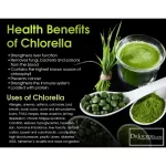 The latest natural food supplements A 500 mg 120 Tablets Sun Chlolla®