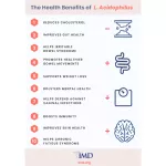 Set 2 bottles of acidophilus probiotic twin pack 100 Tablet Nature's Bounty®