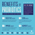 Set 2 bottles of acidophilus probiotic twin pack 100 Tablet Nature's Bounty®