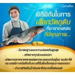 100% authentic Giffarine fish oil, Fish Oil Giffarine 500 mg 90 capsule. DHA and EPA, small fish liver oil, easy to swallow.