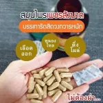 สมุนไพร แคปซูลเพชรสังฆาต 50 แคปซูล. เพชรสังฆาต บรรเทาอาการริดสีดวงทวาร 1 กระปุก ส่งฟรี