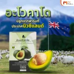MVmall Annavocado อันนาโวคาโด น้ำมันอะโวคาโดสกัดเย็น ออการ์นิค 100 %