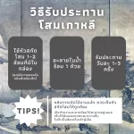 Korean ginseng, Ilva, ginseng, 300 grams, plus 50 grams of Ginseng Ginseng Ginseng