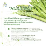 ผักนาโน uSmile101ผงผักนาโนหน่อไม้ฝรั่ง เพื่อสุขภาพ