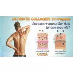 UltimateCollagen100%Pureอัลติเมทคอลลาเจนไตรเปปไทด์ไทพ2 50กรัม 3ถุง โกลด์ 50กรัม1