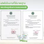 Life Vitamin B. Complex set 2 bottles