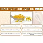 Norwegian cod liver oil Wild Norwegian Cod Liver Oil Gems, Super 1000 mg 250 Softgels Carlson Labs®