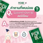 Pichbe by Pichlook Pitchuke Peach B, vitamin hungry, buy 2 plus SanVivi 2, reduce fat, blog, burn a long time from Korea, Pid Bee, free delivery