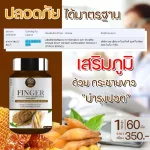 Krachai Herbs, Krachai, White, immunity, balance, reduce acid in the stomach, nourish the heart, brain and bone.